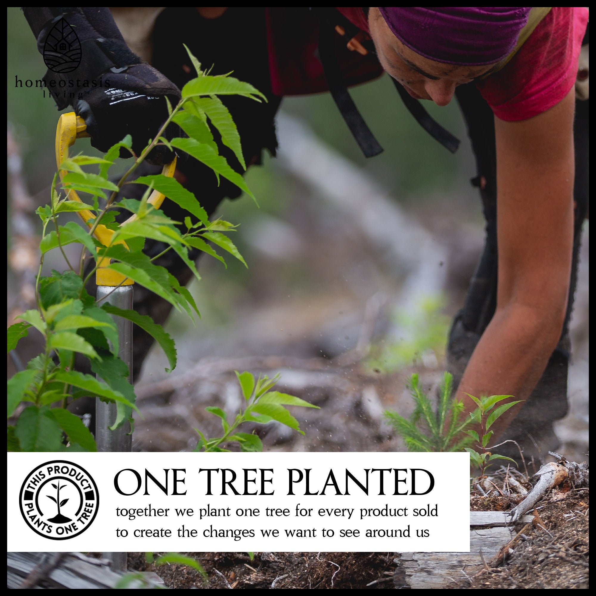 Biodegradable + Organic Hair Ties (Black | 30 pack)